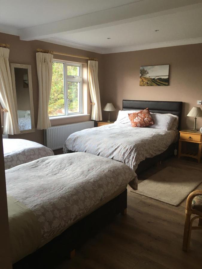 Bed and Breakfast Atlantic View Clifden Exterior foto